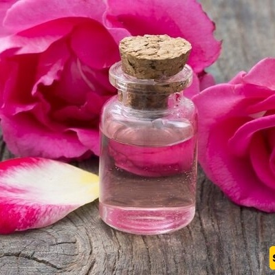 Introduction to the Rosewater Distillation Ceremony and Its Timing in Kashan