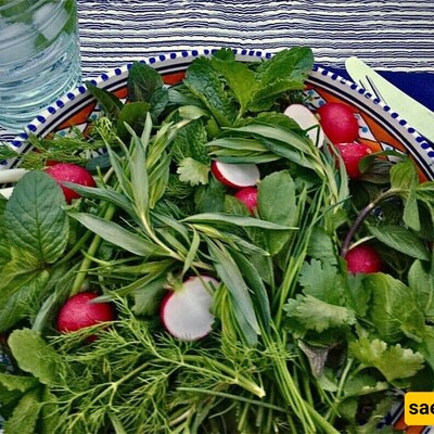 Golden Tips for Keeping Fresh Herbs in the Fridge for a Long Time / How to Keep Herbs Fresh for More Than a Weeks