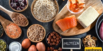 How Protein Helps Reduce Daily Fatigue Naturally