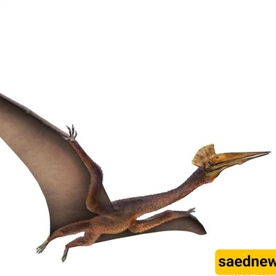5 Prehistoric Birds That Thankfully Became Extinct