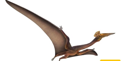 5 Prehistoric Birds That Thankfully Became Extinct