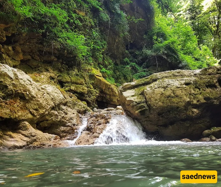 Tangeh Dar Nowshahr