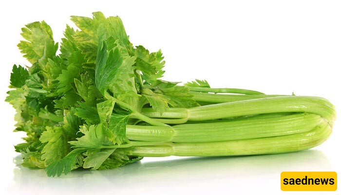 Celery