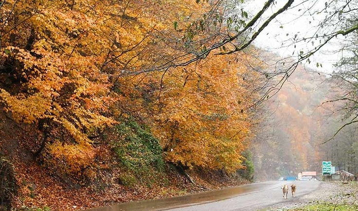 Abbasabad to Kelardasht road