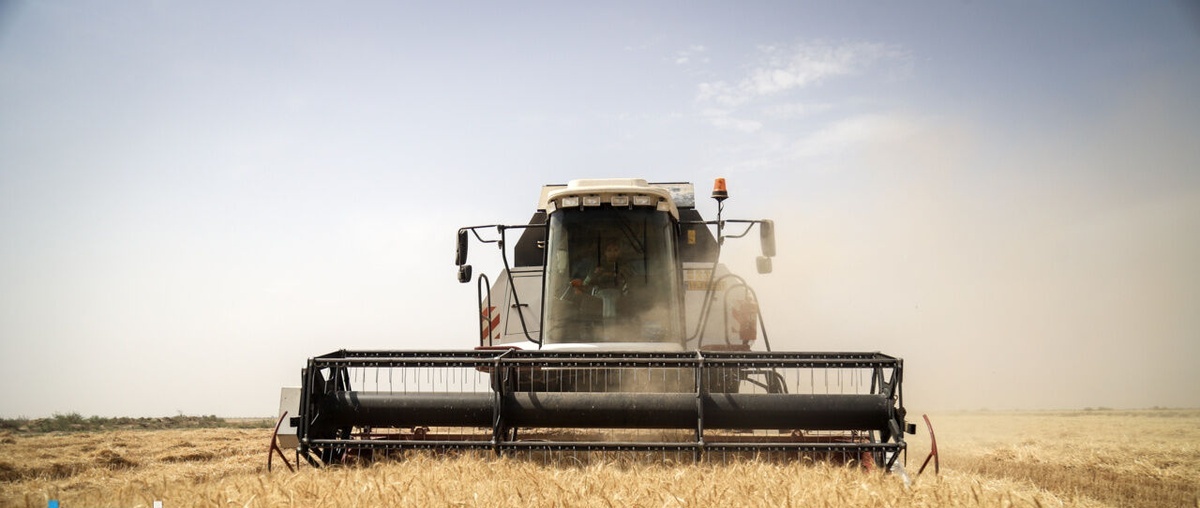 Mechanization in Agriculture Rises 7 Percent Under Pezeshkian Administration