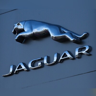 Will Jaguar's Bold Rebrand Win or Flop?