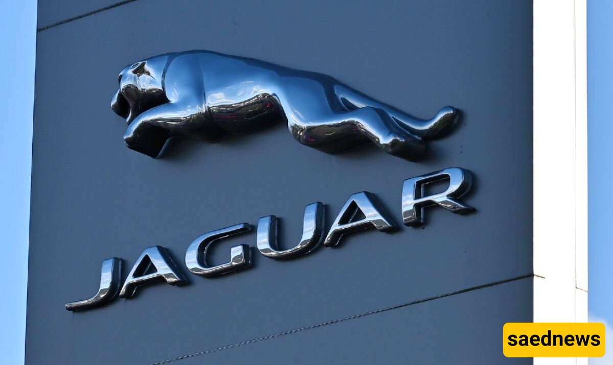 Will Jaguar's Bold Rebrand Win or Flop?