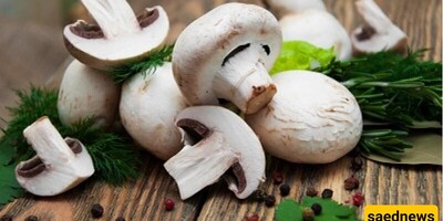 The Amazing Impact of Mushrooms in a Weight Loss Diet