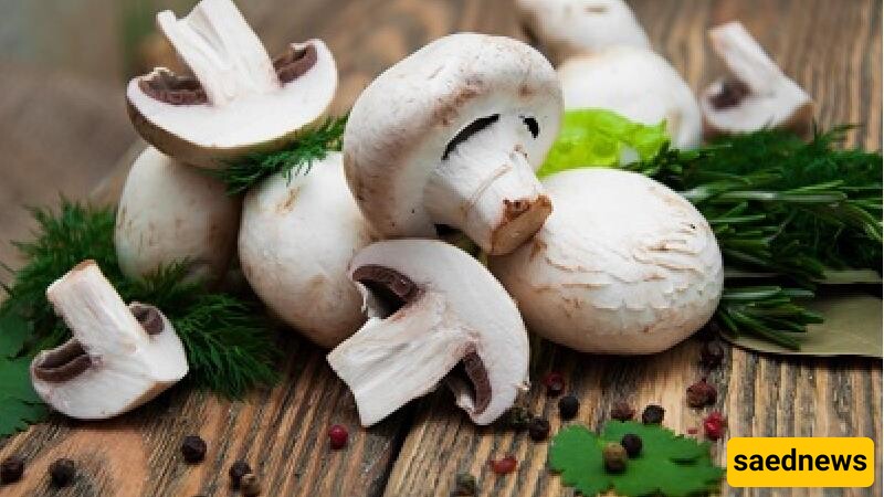 The Amazing Impact of Mushrooms in a Weight Loss Diet