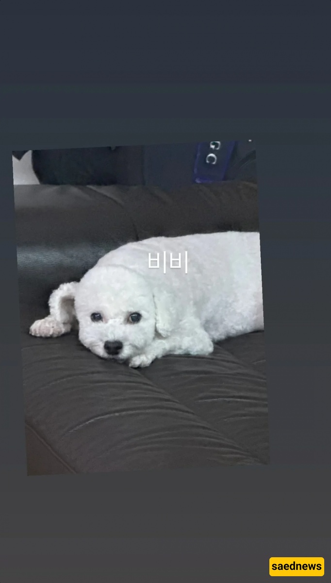 Sehun shared an update on his Instagram story