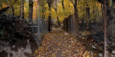 A Delightful Autumn Escape to Tehran’s Most Beautiful Nearby Village: Igil – Unforgettable Memories Await! + Video