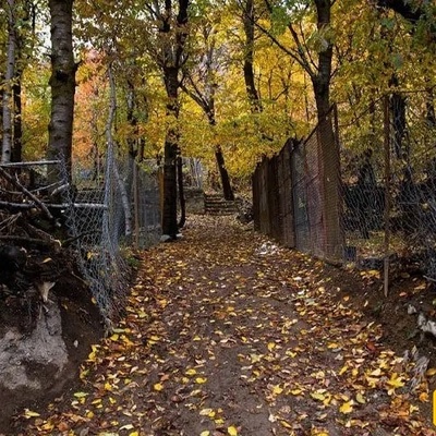 A Delightful Autumn Escape to Tehran’s Most Beautiful Nearby Village: Igil – Unforgettable Memories Await! + Video
