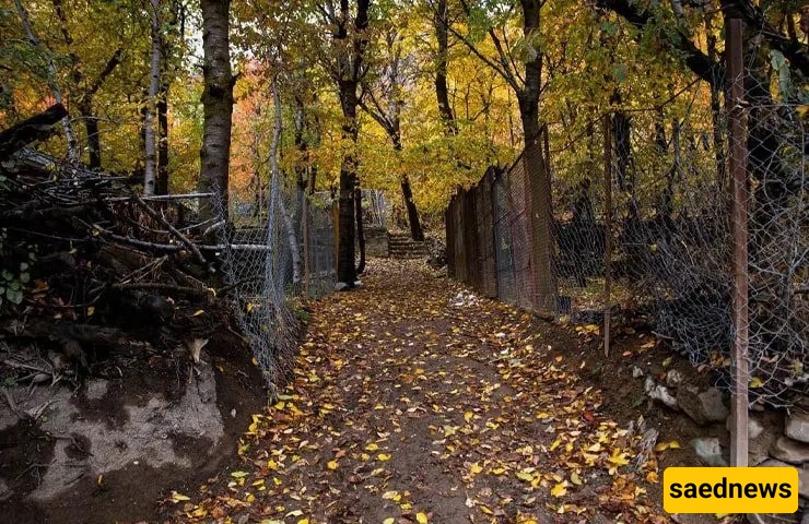 A Delightful Autumn Escape to Tehran’s Most Beautiful Nearby Village: Igil – Unforgettable Memories Await! + Video