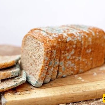 Summer Mistakes That Make Household Items And Food Spoil Faster