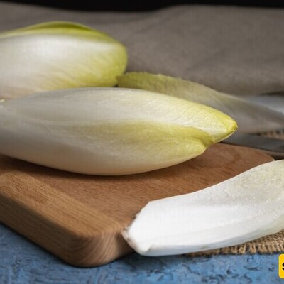 Discover the Amazing Benefits of Belgian Endive