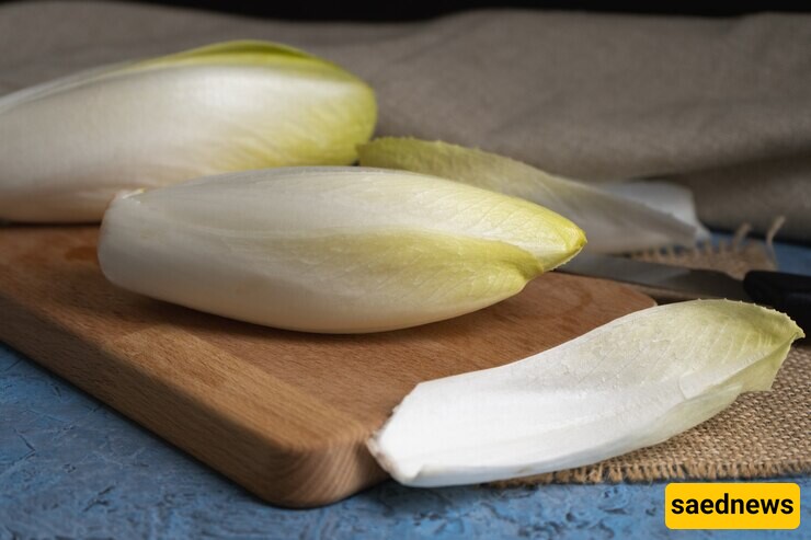 Discover the Amazing Benefits of Belgian Endive