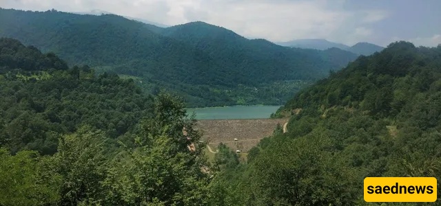 dalekhani forest