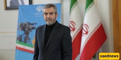 Ayatollah Khamenei Appoints Ali Bagheri Kani to Key Foreign Relations Council