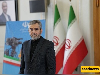 Ayatollah Khamenei Appoints Ali Bagheri Kani to Key Foreign Relations Council