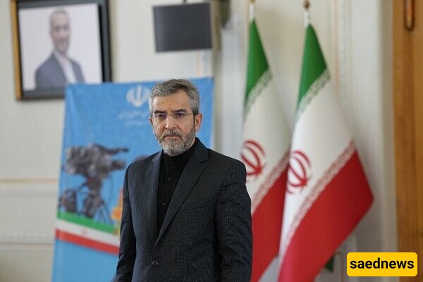 Ayatollah Khamenei Appoints Ali Bagheri Kani to Key Foreign Relations Council