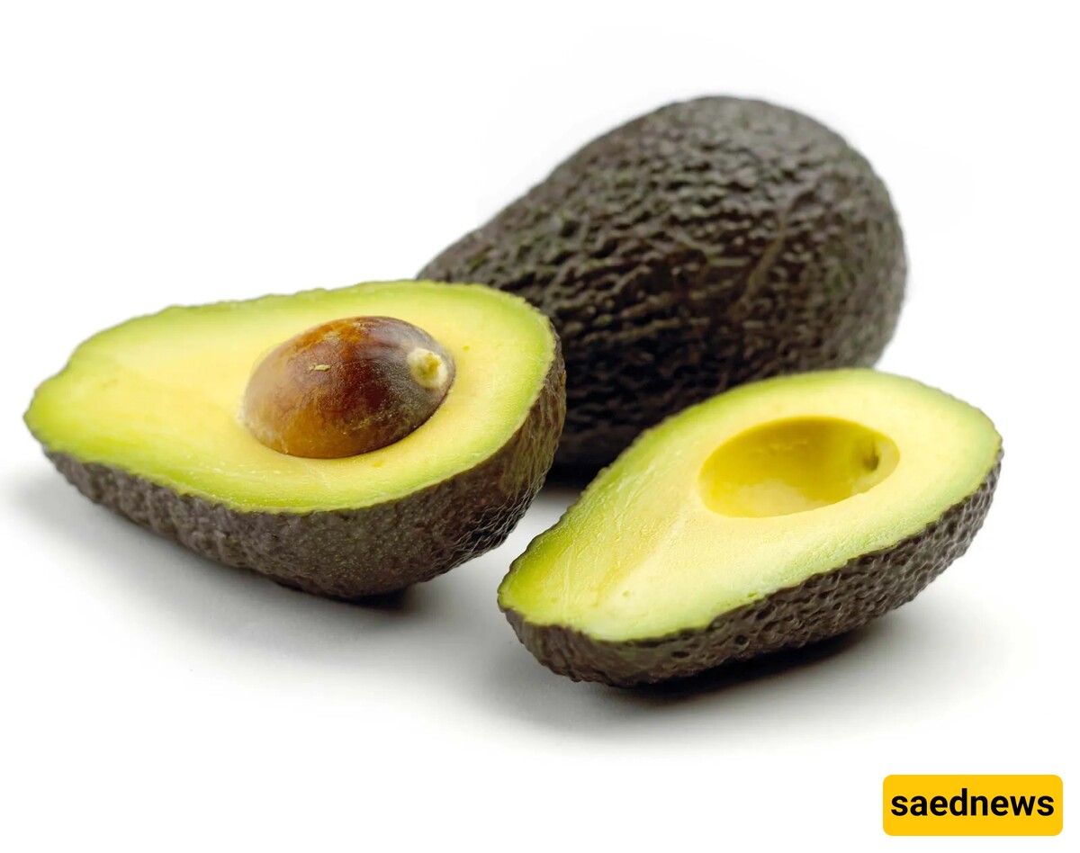 Avocado