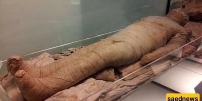Oldest Egyptian Mummy Discovered on a Gold Leaf + Photos