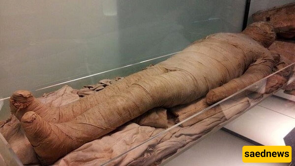 Oldest Egyptian Mummy Discovered on a Gold Leaf + Photos