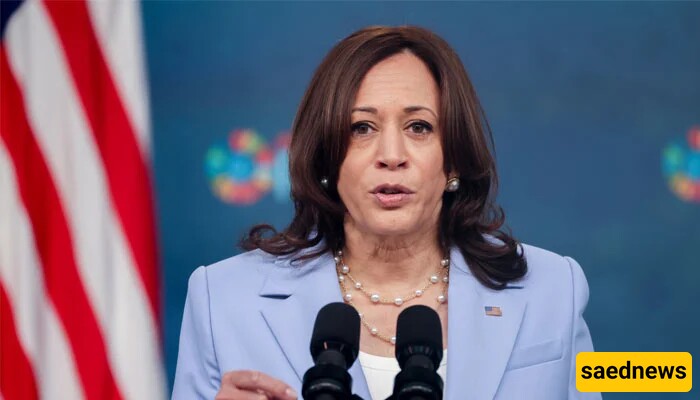 Harris Addresses Protesters with Firm Message: 'We Are Here To Now Talk About This Race in 2024'