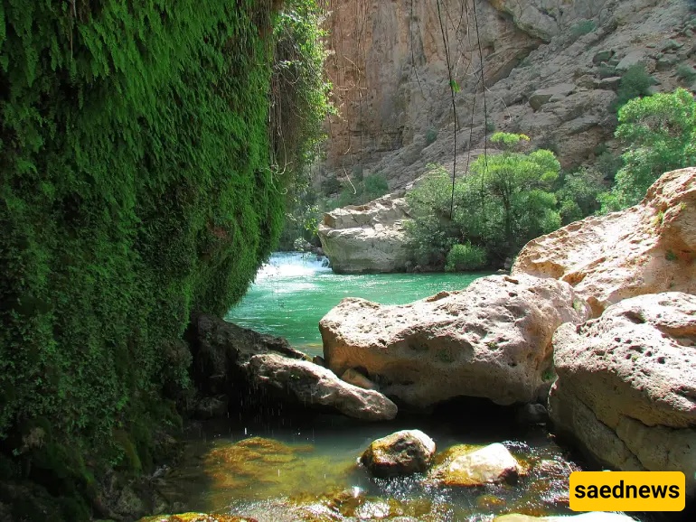 Shiraz Nature