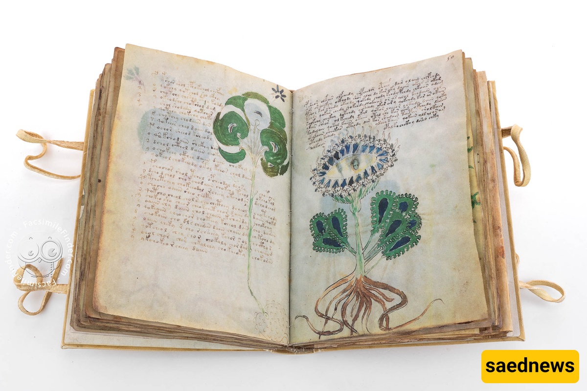 The Voynich Manuscript