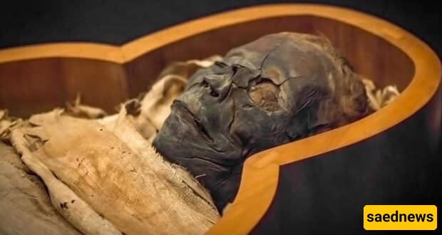 Bizarre Mummy of a Teen Found with Intact Skin and Flesh! +Video