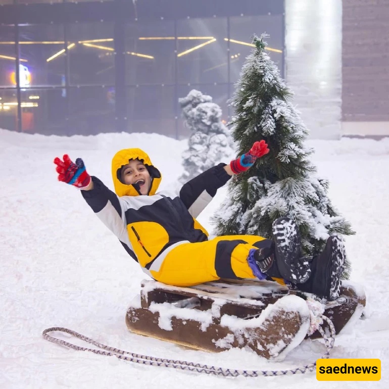 Penguin Snow Park, kish