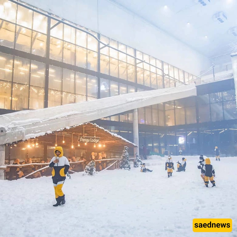 Penguin Snow Park