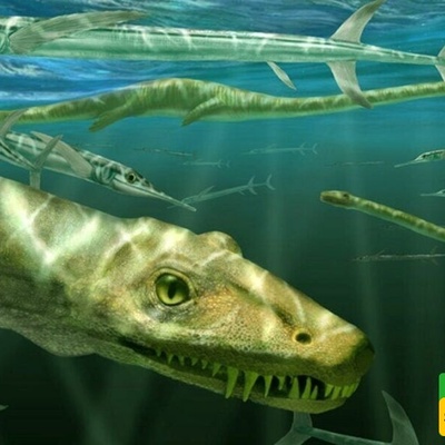 Scientists in China Discover 240-Million-Year-Old Reptile Fossil + Photos