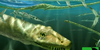 Scientists in China Discover 240-Million-Year-Old Reptile Fossil + Photos