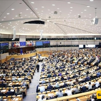 EU Lawmakers Urge Action to Halt Israeli Atrocities in Gaza