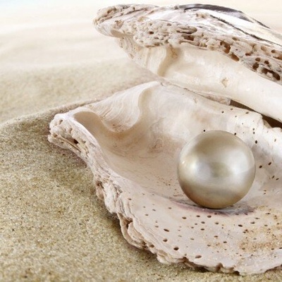 Lucky Fisherman Uncovers the World’s Largest Pearl—Only Realizes Its Value 10 Years Later + Photos