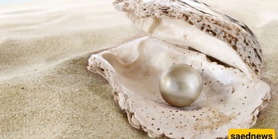 Lucky Fisherman Uncovers the World’s Largest Pearl—Only Realizes Its Value 10 Years Later + Photos