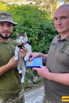 Strange but True: Cats Sent to the Frontlines in the Ukraine War