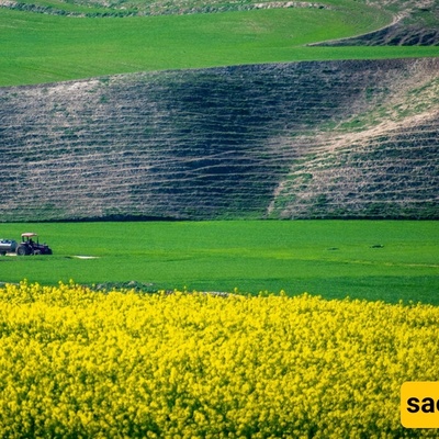Turkmen Sahra: The Heart of Iran’s Golden Steppe