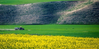 Turkmen Sahra: The Heart of Iran’s Golden Steppe