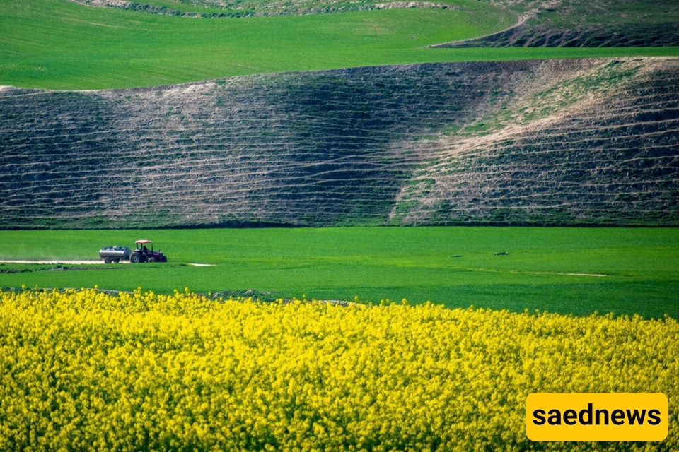 Turkmen Sahra: The Heart of Iran’s Golden Steppe