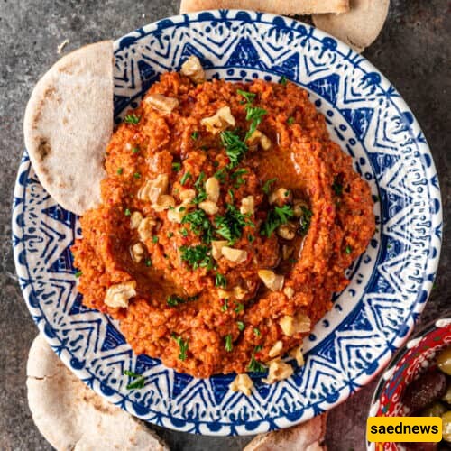 Muhammara Sauce