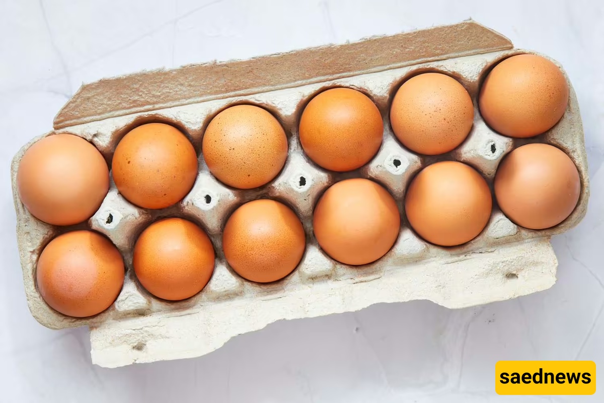 Eggs In Their Shells