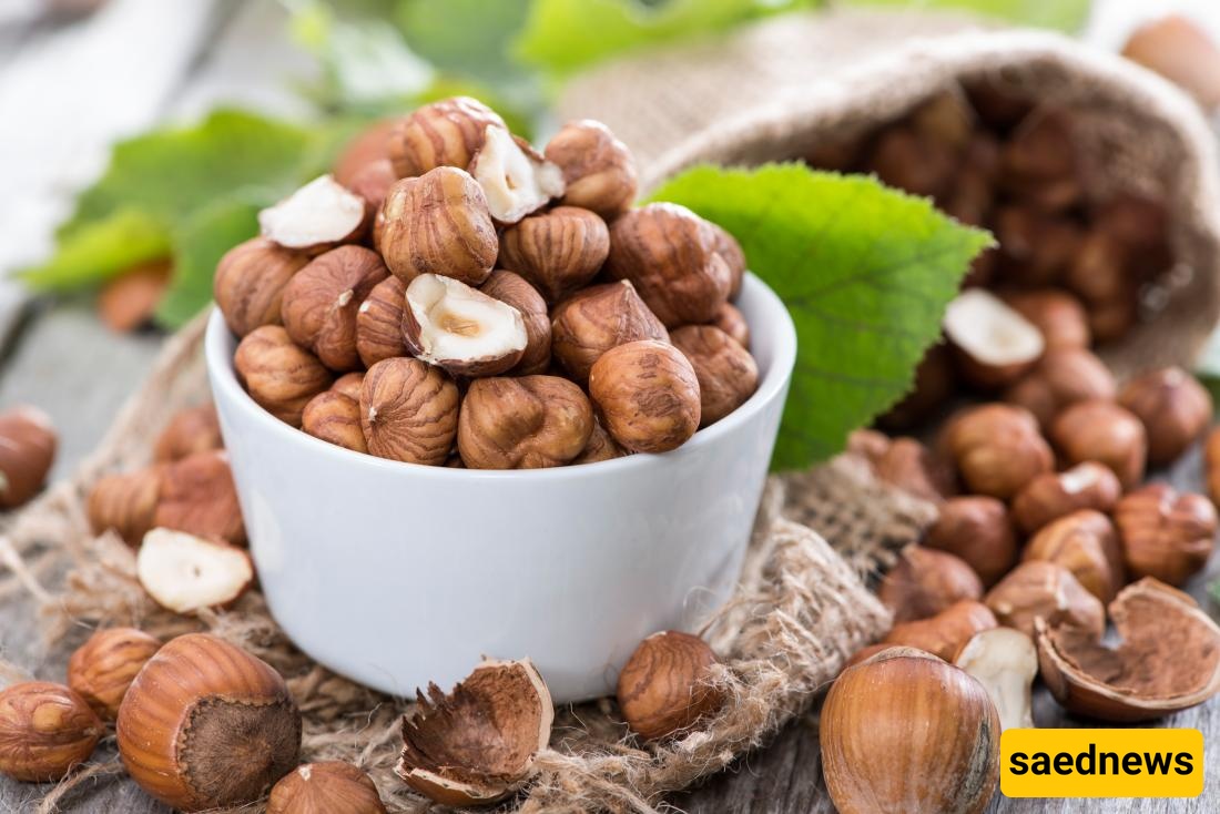 hazelnuts 