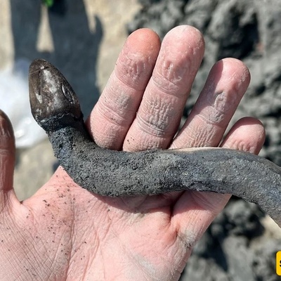 After 2,000 Years, the Ancient “Guardian Snake” Treasure Resurfaces from a Hot Spring