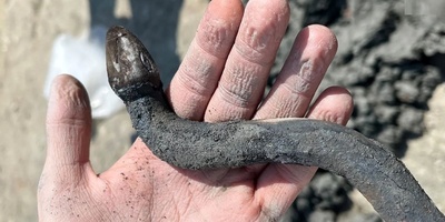 After 2,000 Years, the Ancient “Guardian Snake” Treasure Resurfaces from a Hot Spring