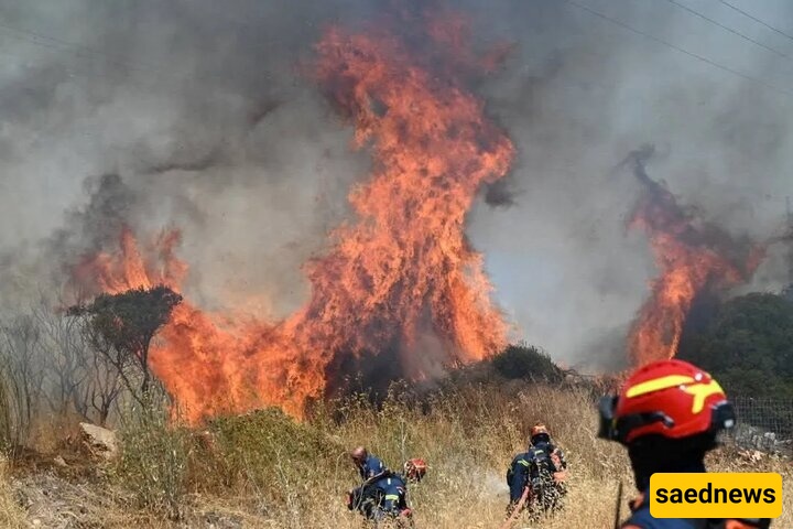 Hundreds Flee As Wildfires Spread Rapidly to Turkey's Bursa