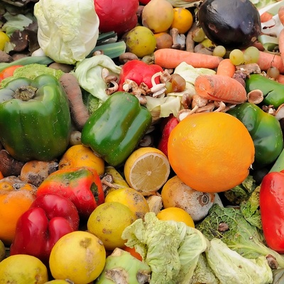 Common Mistakes That Cause Food Waste