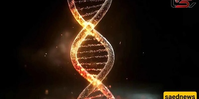 The Secret Of Longer Life Revealed; Scientists Reach A Genetic Conclusion